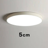 Plafonnier LED arrondi et plat – design moderne (plusieurs tailles)