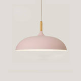 Suspension en aluminium coloré avec tige en bois – modèle Wood